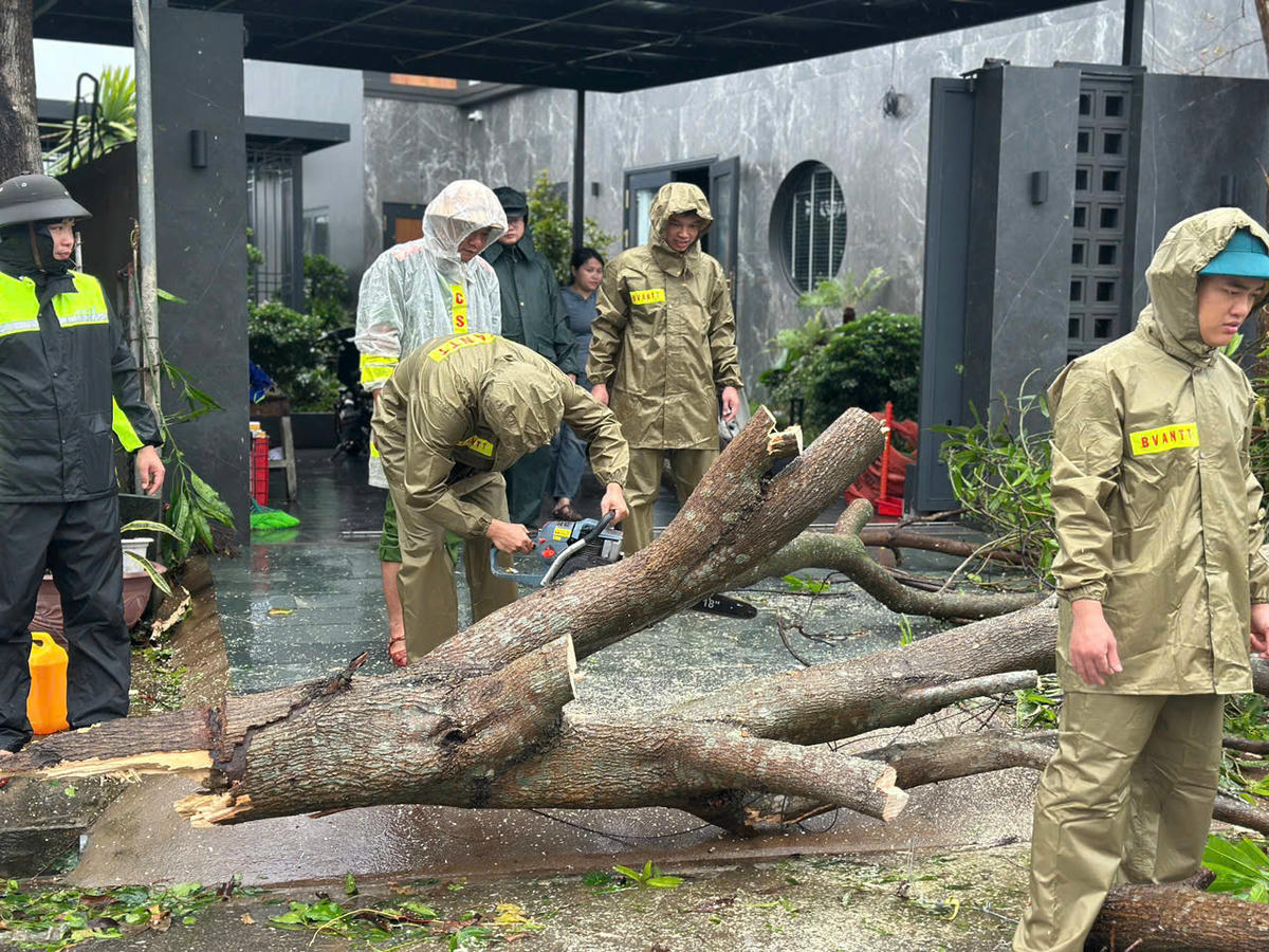 Lực lượng công an hỗ trợ người dân phường Trần Phú cắt gọn cây xanh đổ gãy, dọn dẹp sau bão.