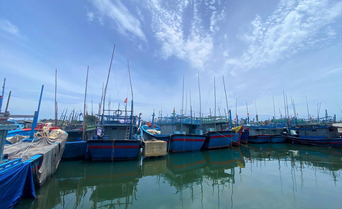 Một góc khu neo đậu tàu thuyền ở tỉnh Gia Lai. Ảnh:
CV.