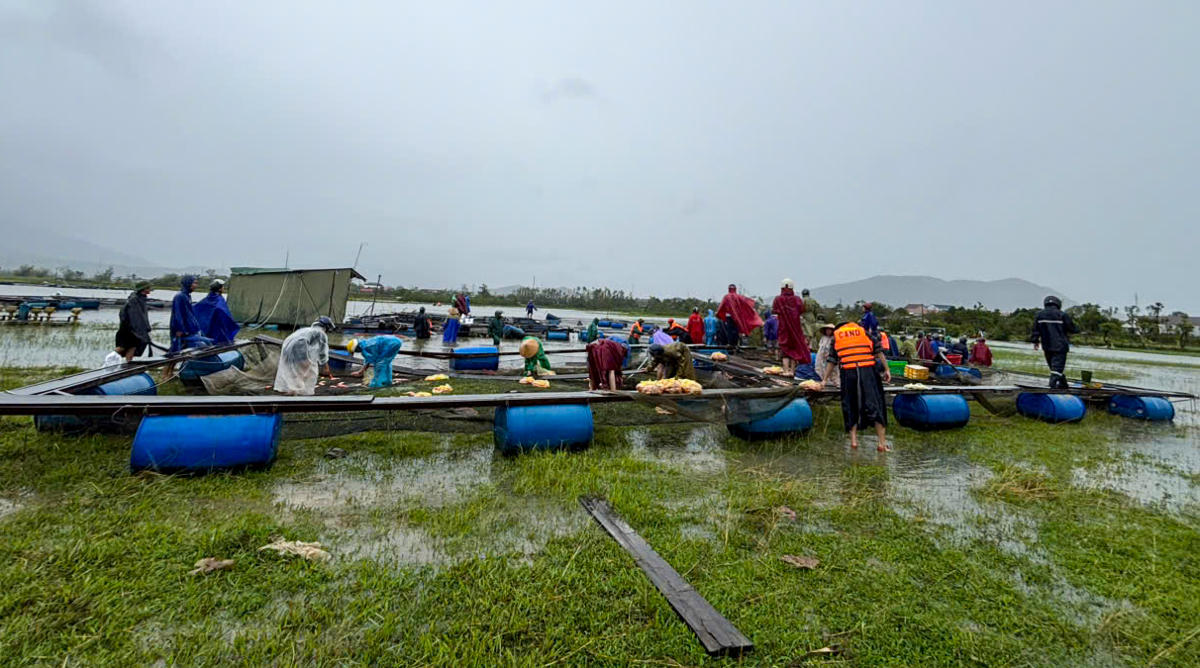 Để hỗ trợ khắc phục, hàng trăm người dân đã cùng gia đình vớt cá.