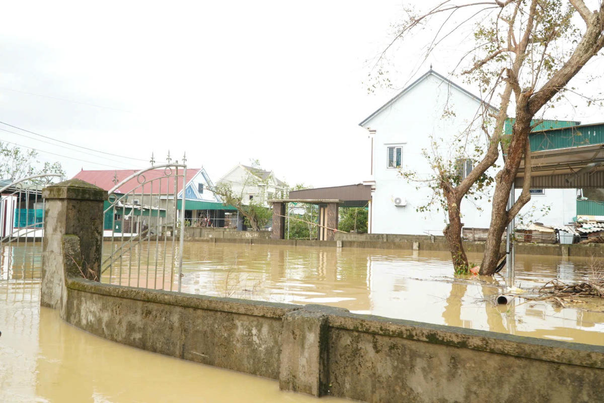 Sáng 29/9, nước sông Lam dâng cao đã làm hàng trăm hộ ở xã Lam Thành, tỉnh Nghệ An chìm trong biển nước. Từ trên cao nhìn xuống, cả vùng quê hiền hòa giờ chỉ còn lại những cụm nhà trơ trọi giữa biển nước mênh mông đục ngầu. Ảnh: Quốc Thanh.