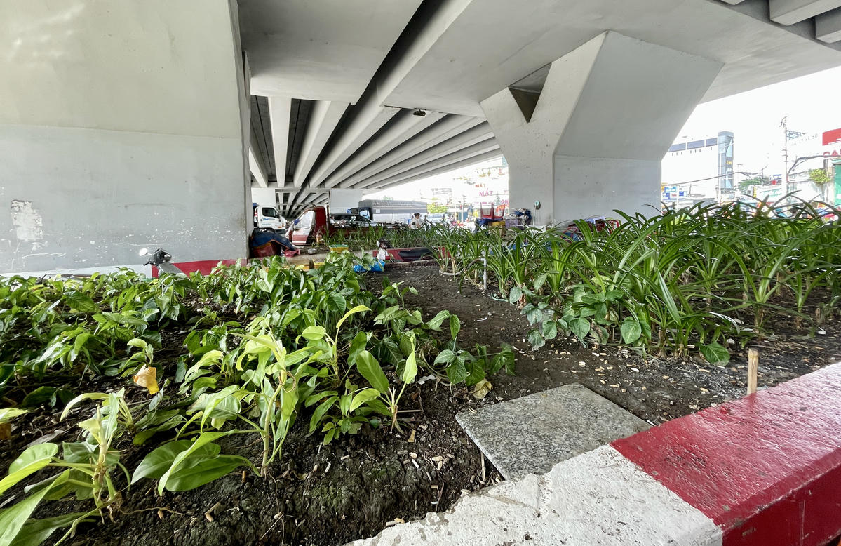 Nhiều gầm cầu vượt bỏ hoang, trồng cỏ nên bị lấn chiếm. ảnh: Đ.X.