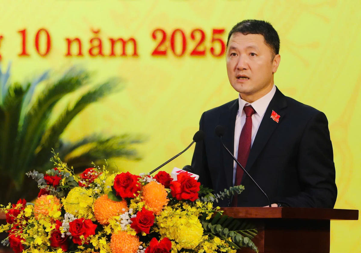 Ông Bùi Văn Mạnh - Giám đốc Sở Du lịch tỉnh Ninh Bình trình bày tham luận tại đại hội. Ảnh: Phan Hiếu