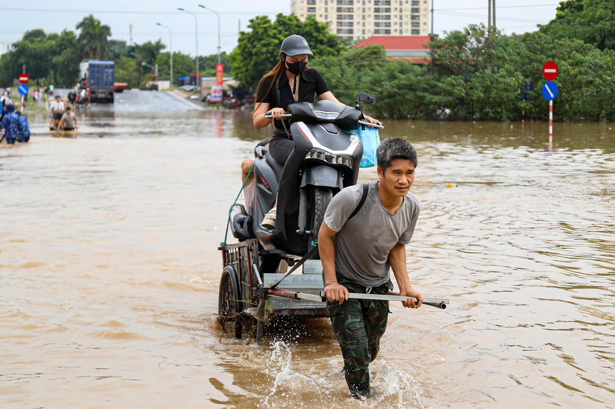 Để di chuyển được các phương tiện, người dân vất vả dùng xe bò chở qua.