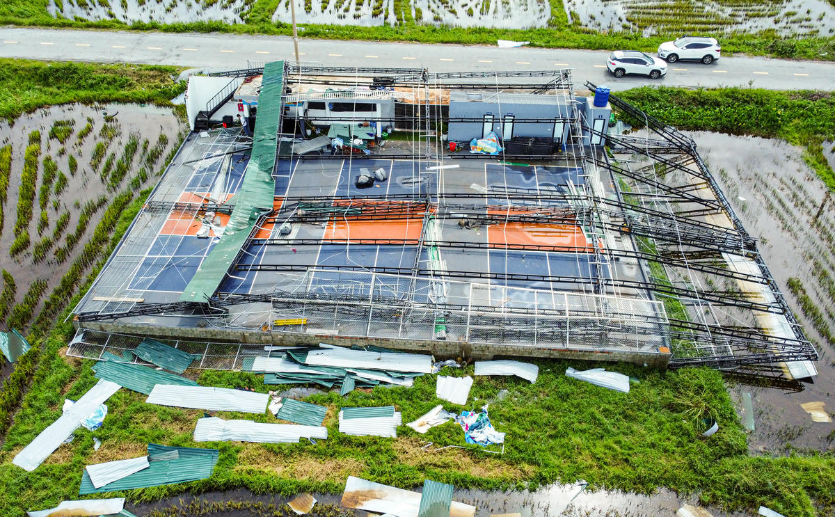 Toàn cảnh cụm sân hơn 1 tỉ đồng tan hoang, mái tôn và khung sắt nằm chằng chịt trên mặt sân. Ảnh: Cẩm Kỳ