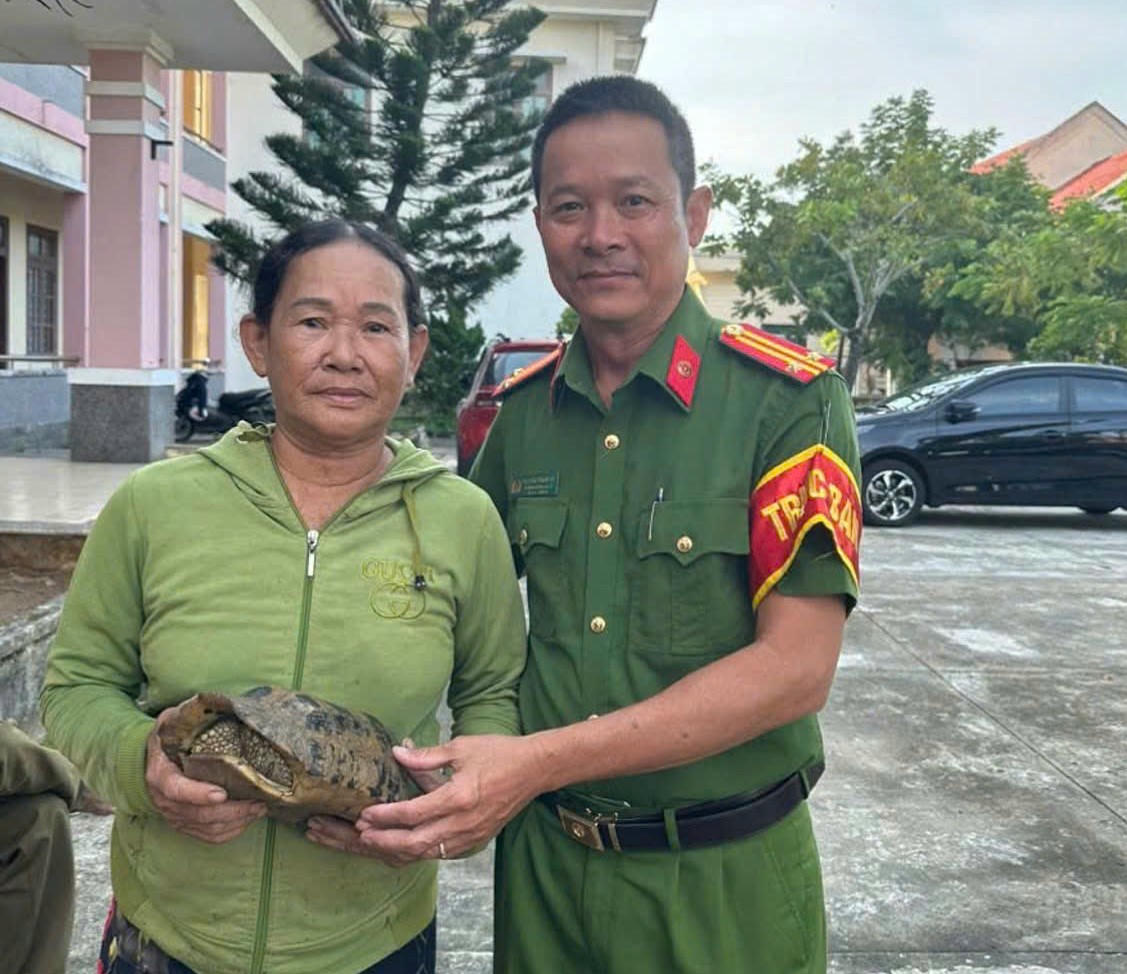 Lực lượng chức năng tiếp nhận cá thể rùa.
Ảnh: CV.