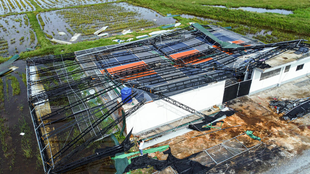 Ghi nhận của phóng viên Báo Đại đoàn kết, tại trung tâm phường Thành Sen (Hà Tĩnh) và các vùng lân cận, nhiều sân Pickleball bị gió bão quật ngã hàng rào, tốc mái, thậm chí đổ sập hoàn toàn. Ảnh: Cẩm Kỳ