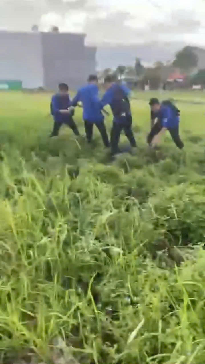 4 học sinh trường THPT Phan Bội Châu đánh hội đồng 1 bạn nam. Ảnh cắt từ clip.