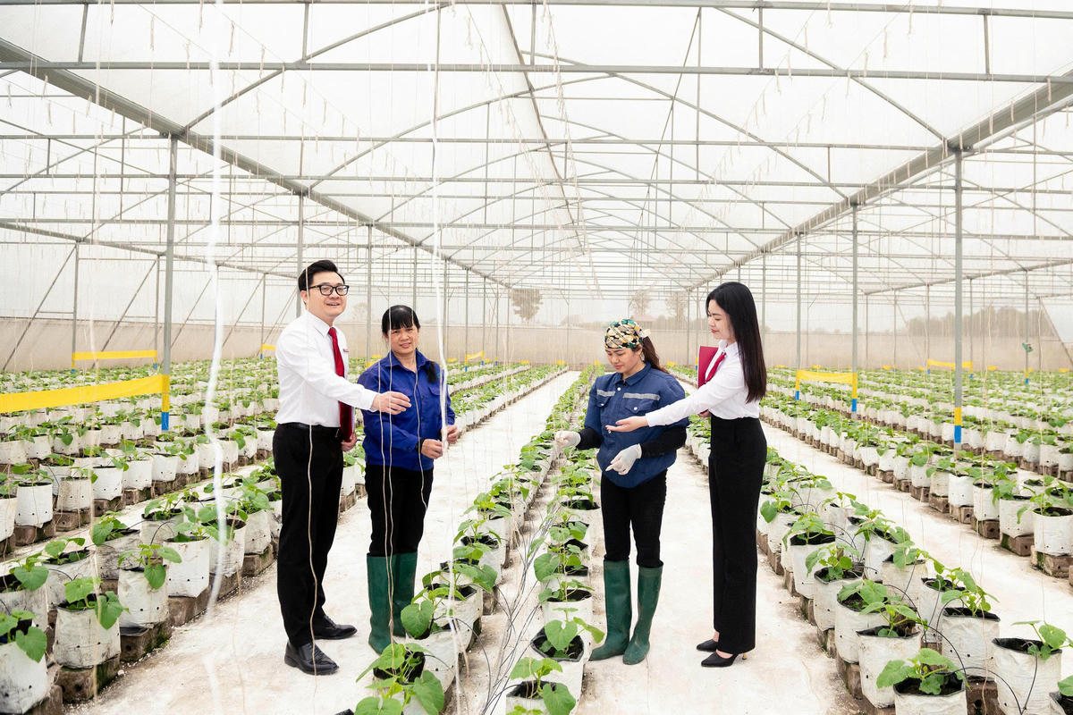 Agribank tăng cường nguồn lực cho khu vực “Tam nông” khẳng định cam kết đồng hành cùng các địa phương trong việc lan tỏa tài chính toàn diện, hướng đến một nền kinh tế bao trùm và phát triển bền vững.