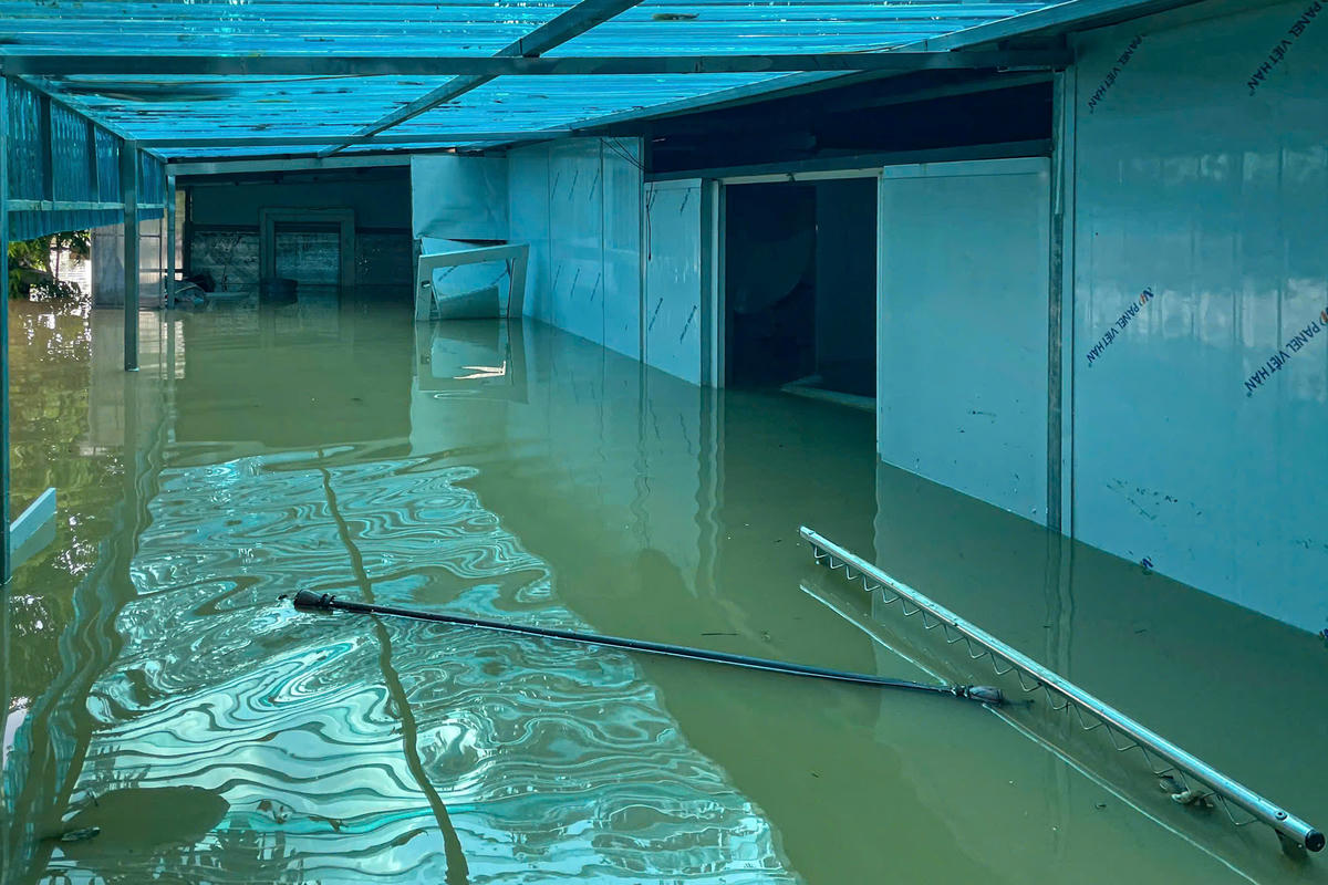 Đa phần những vật dụng bằng điện đều hư hỏng nặng.