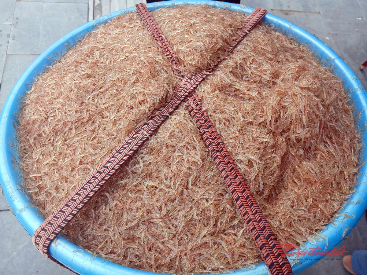 Thành quả của chuyến đi xúc tép của một người dân Trà Cổ. Ảnh: Nguyễn Quý.