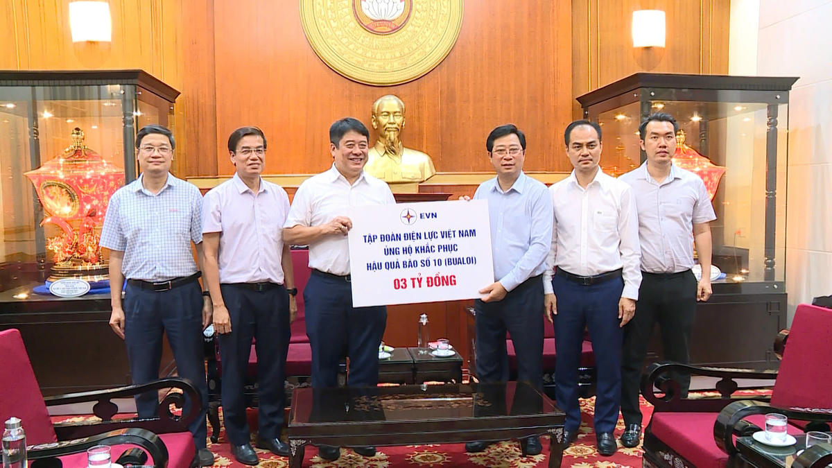 Ông Cao Xuân Thạo tiếp nhận ủng hộ từ Tập đoàn điện lực Việt Nam. Ảnh: MTTQ. 