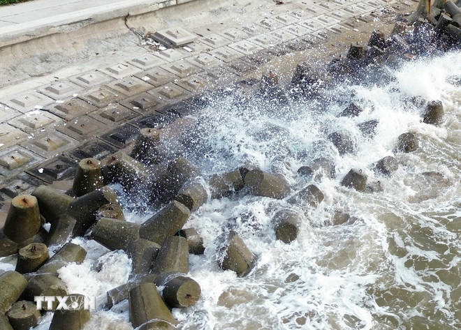 Ảnh minh họa. (Nguồn: TTXVN).