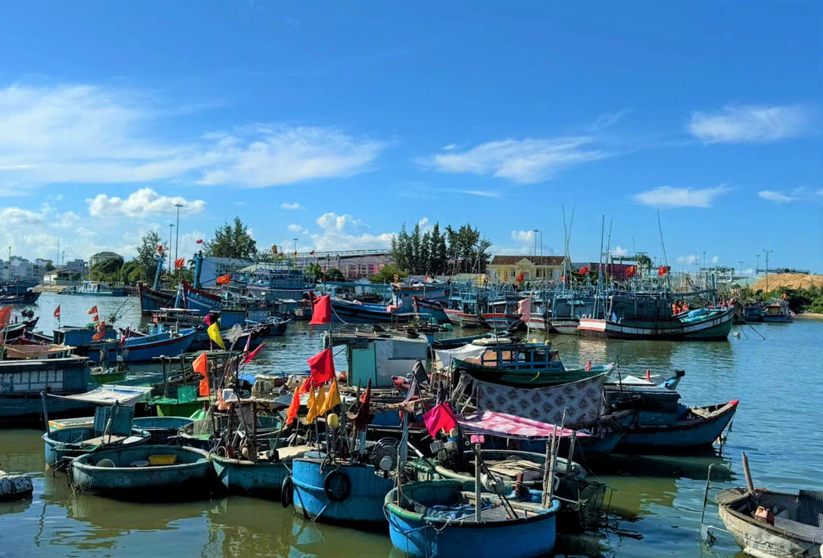 Một góc cảng cá
ở tỉnh Gia Lai. Ảnh: Chí Đại.

 