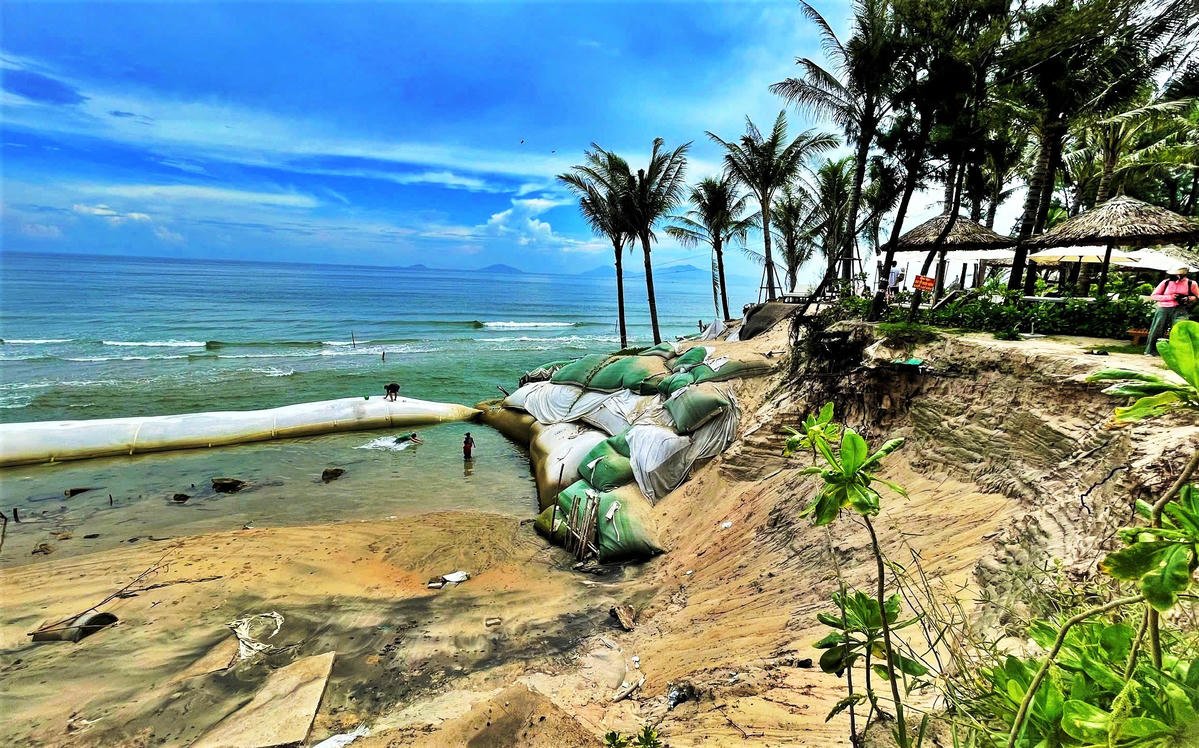 Bờ biển sạt lở vào sâu đe dọa đến các cơ sở kinh doanh du lịch ở phường Hội An Tây (TP Đà Nẵng). Ảnh: Nguyễn Tín