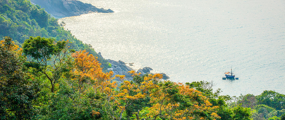 Một góc bán đảo Sơn Trà. Ảnh: Lê Hải Sơn.