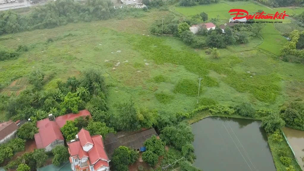 Dự án khu dân cư Ngọc Xuân do UBND huyện Phú Bình cũ thực hiện đến nay vẫn chỉ là cánh đồng,
ruộng lúa xen lẫn với cỏ dại um tùm. Điều này khiến 2 dự án tổng đầu tư 230 tỷ đồng trở thành điểm đen về lãng phí trong lĩnh vực xây dựng cơ bản. Ảnh: Toán Nguyễn.