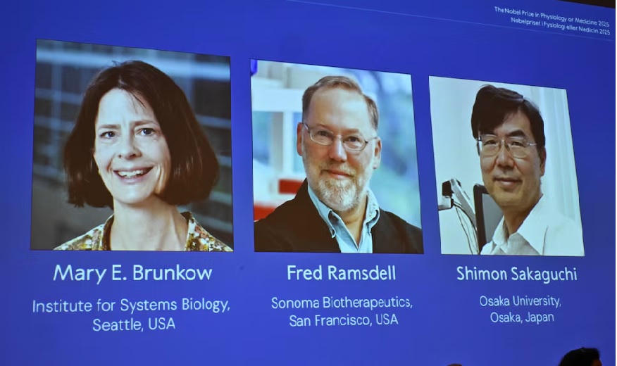 Các chủ nhân của Giải Nobel Y Sinh 2025: Mary E Brunkow, Fred Ramsdell và Shimon Sakaguchi. Nguồn: Reuters.