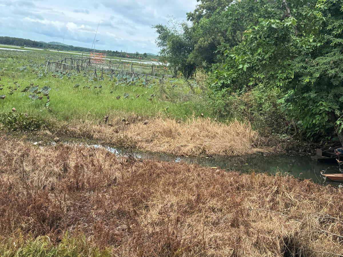 Nguồn nước không chỉ là yếu tố thiết yếu cho sự sống mà còn là tài nguyên quý giá cần được gìn giữ. Ảnh: Thanh Nga.