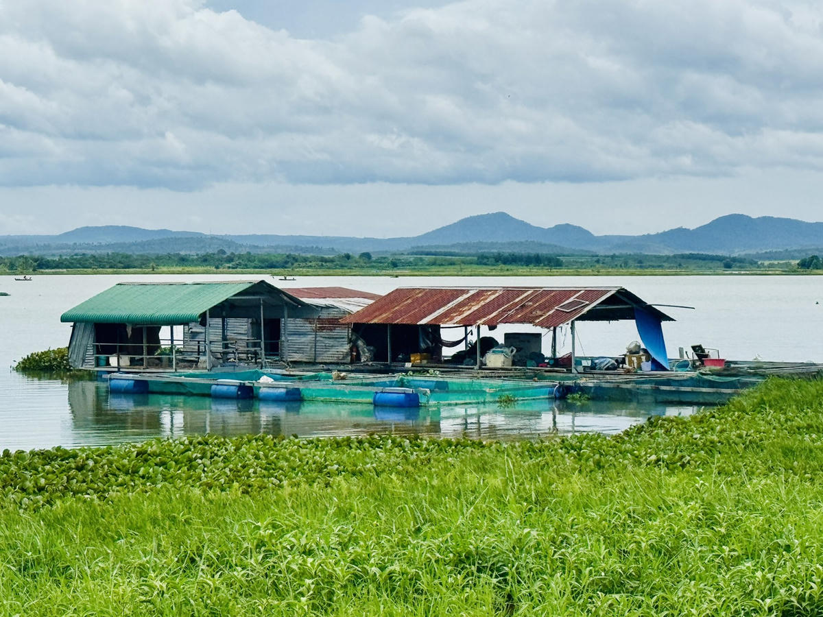 Lồng bè đã được yêu cầu dở bỏ. Ảnh: Thanh Nga.