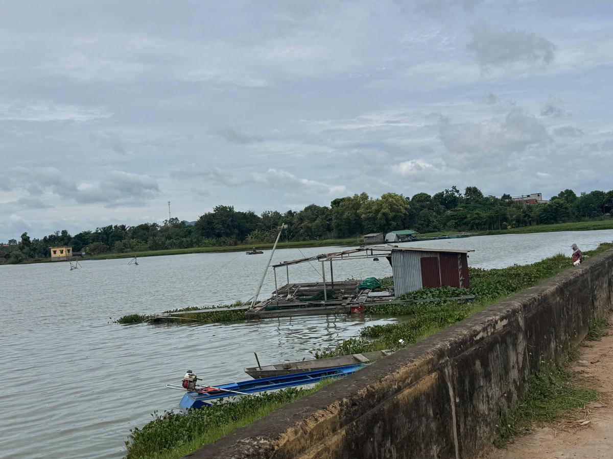 Mặt hồ có 2 hộ nuôi cá lồng bè chưa được cấp phép. Ảnh: Thanh Nga.