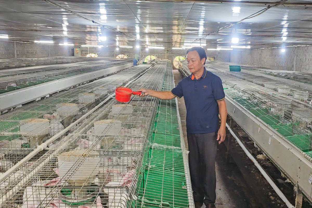Nguồn lợi nhuận từ việc nuôi thỏ, ông Hợi dành một phần hỗ trợ người nghèo, xây dựng nông thôn mới ở địa phương. Ảnh: Đình Minh