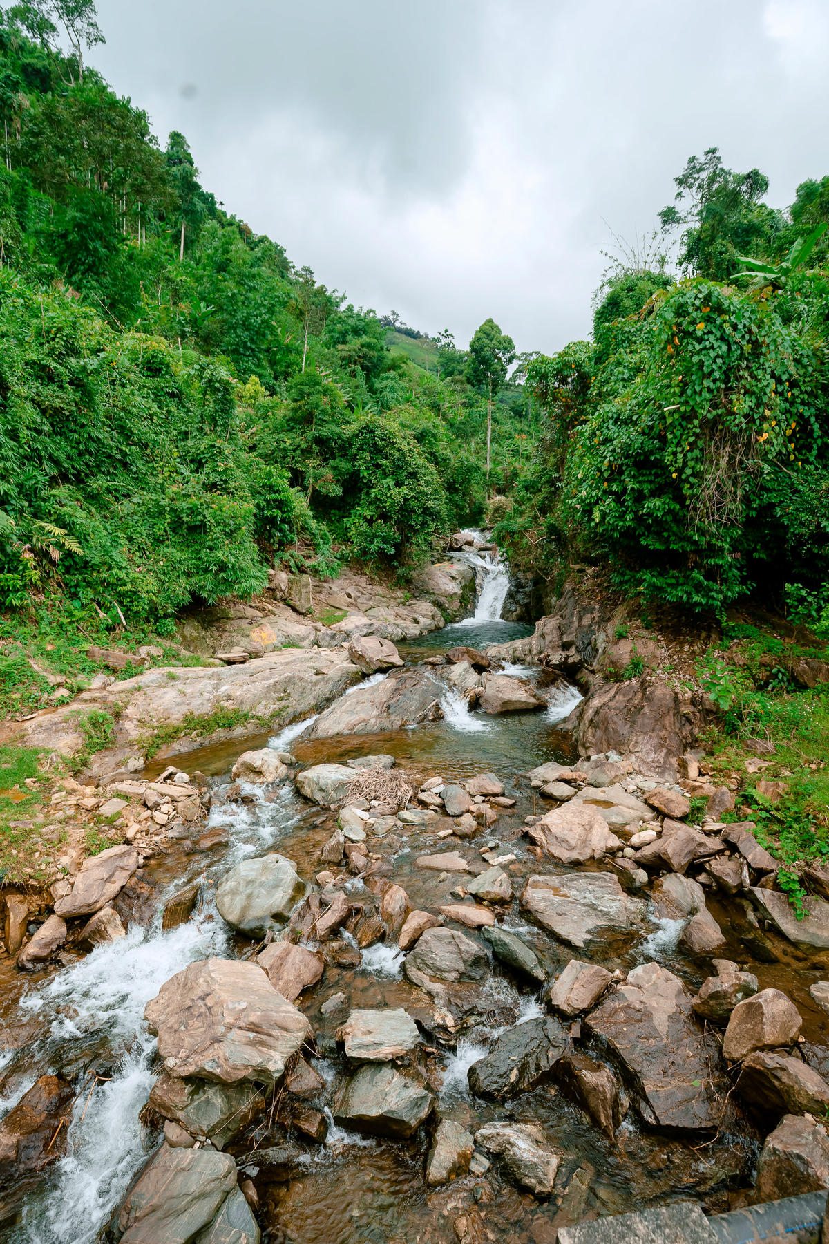Giải khuyến khích - Sâu thẳm. Ảnh: Lê Công Việt.