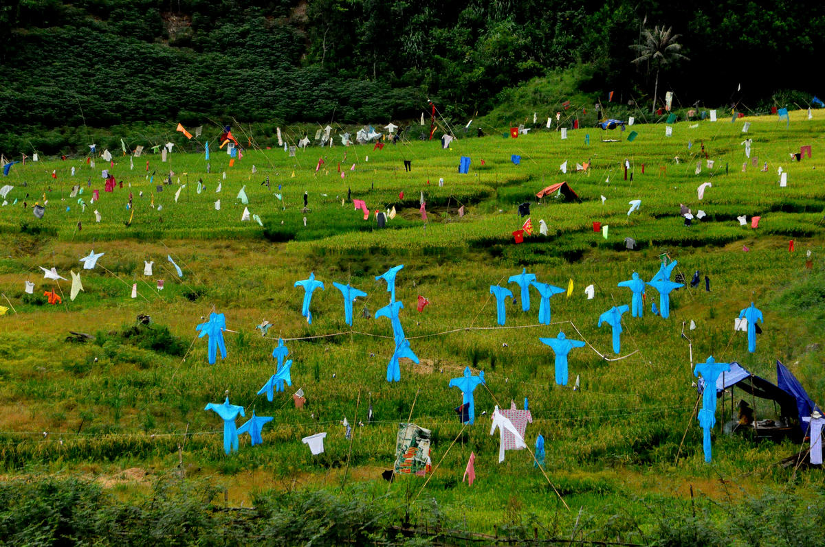 Giải ba - Tín hiệu mùa vàng. Ảnh: Huỳnh Trương Phát.