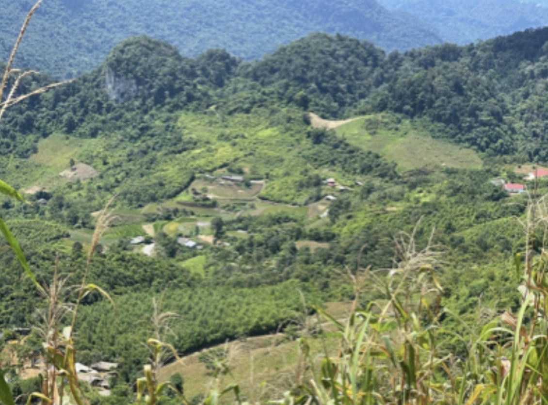 Bằng sự vào cuộc quyết liệt của ban ngành và sự đồng thuận của nhân dân vùng cao Ba Bể sẽ ngày một khởi sắc,