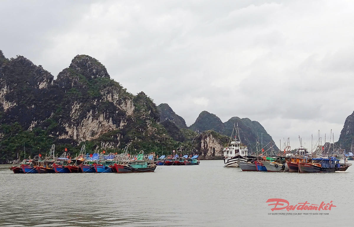 Quảng Ninh có vùng biển rộng lớn với đội tàu hơn 5.500 chiếc. Ảnh: Nguyễn Quý.