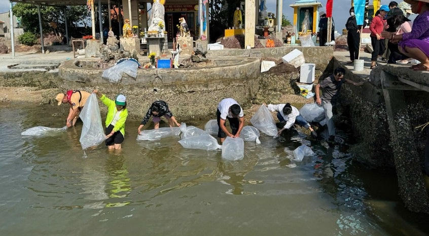 Cơ quan chức năng tỉnh Gia Lai thả cá giống xuống đầm Thị Nại. Ảnh: CV.