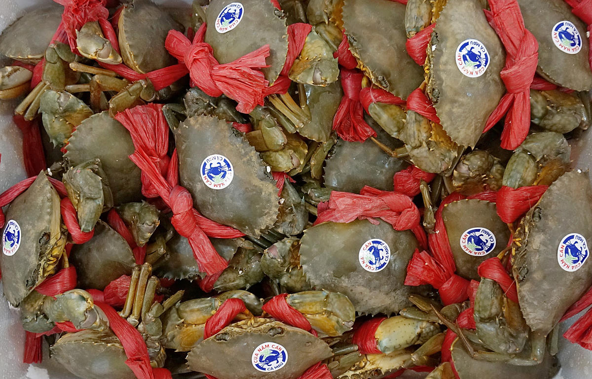 Cua Năm Căn thương hiệu nổi tiếng của Cà Mau. Ảnh: Trung Kiên. 