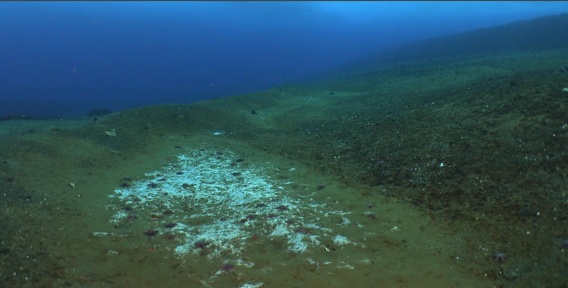 Bong bóng khí metan bốc lên từ một lỗ rò rỉ ở Cape Evans, Nam Cực.Ảnh cắt màn hình.