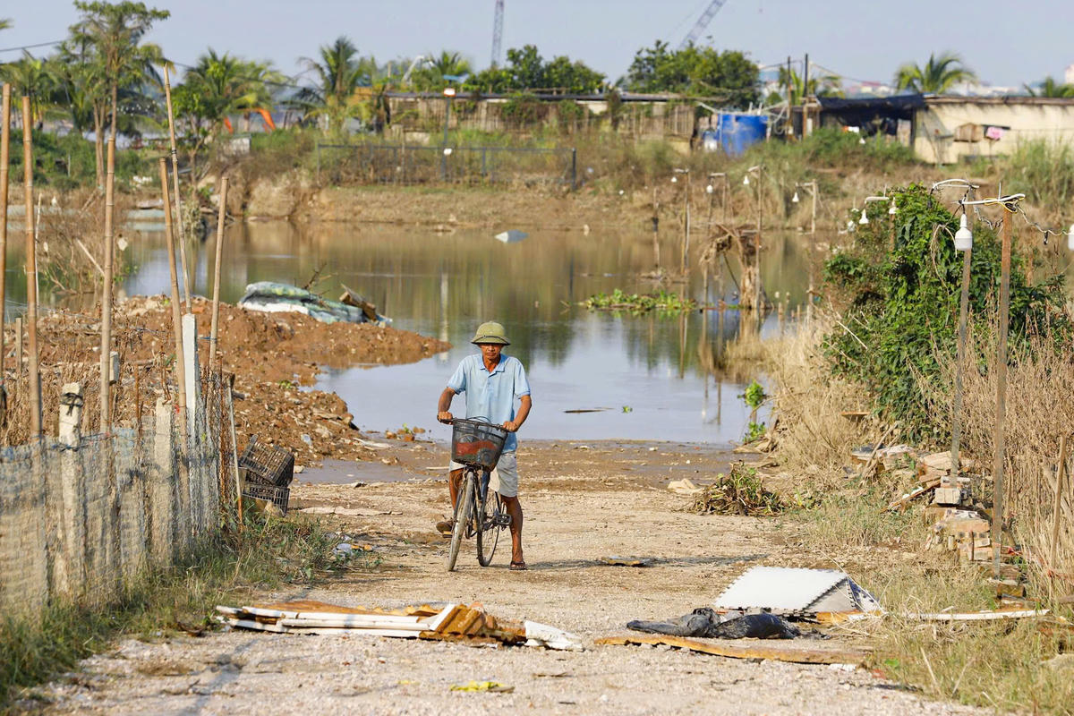 Theo ông Bình, đào không phải loại cây trồng "ngày một, ngày hai" mà phải mất 2 - 3 năm sau mới là thời điểm đẹp để thu hoạch có nghĩa là sớm nhất cũng phải đến năm 2026, 2027 mới phần nào ổn định.