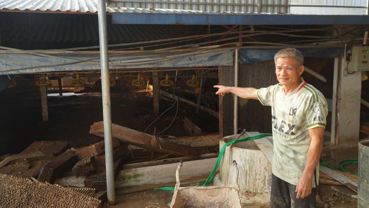 Ông Vũ Văn Tuấn chỉ về chuồng trại ngổn ngang bùn đất sau lũ. 	