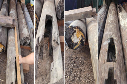 Nhiều cột gỗ bị rỗng lõi, bị nhồi keo, có dấu hiệu không an toàn về kết cấu.	ẢNH: K.H
 
