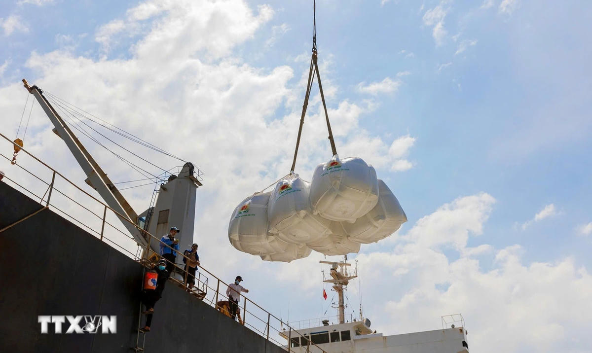  Bốc xếp gạo xuất khẩu. (Ảnh: TTXVN) 