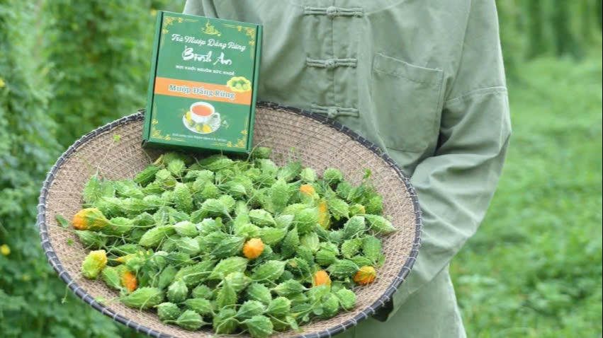 Đa dạng hóa cây trồng, sản phẩm giúp người dân Yên Trạch nâng cao nguồn thu, cải thiện đời sống.