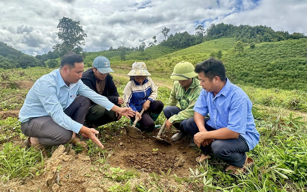 Cán bộ kỹ thuật, cán bộ địa phương hướng dẫn kỹ thuật trồng và chăm sóc cây cà phê cho người dân. Ảnh: Sở DT&TG