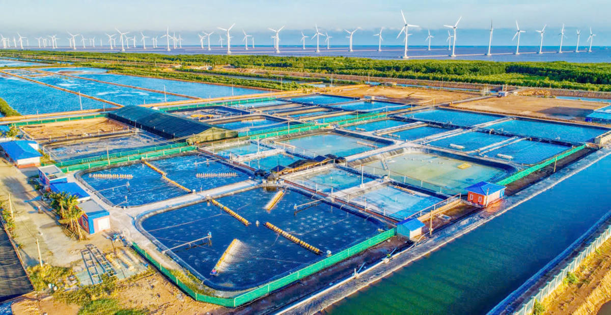 Tỉnh Cà Mau sẽ là trung tâm năng lượng sạch, năng lượng tái tạo của cả nước. 