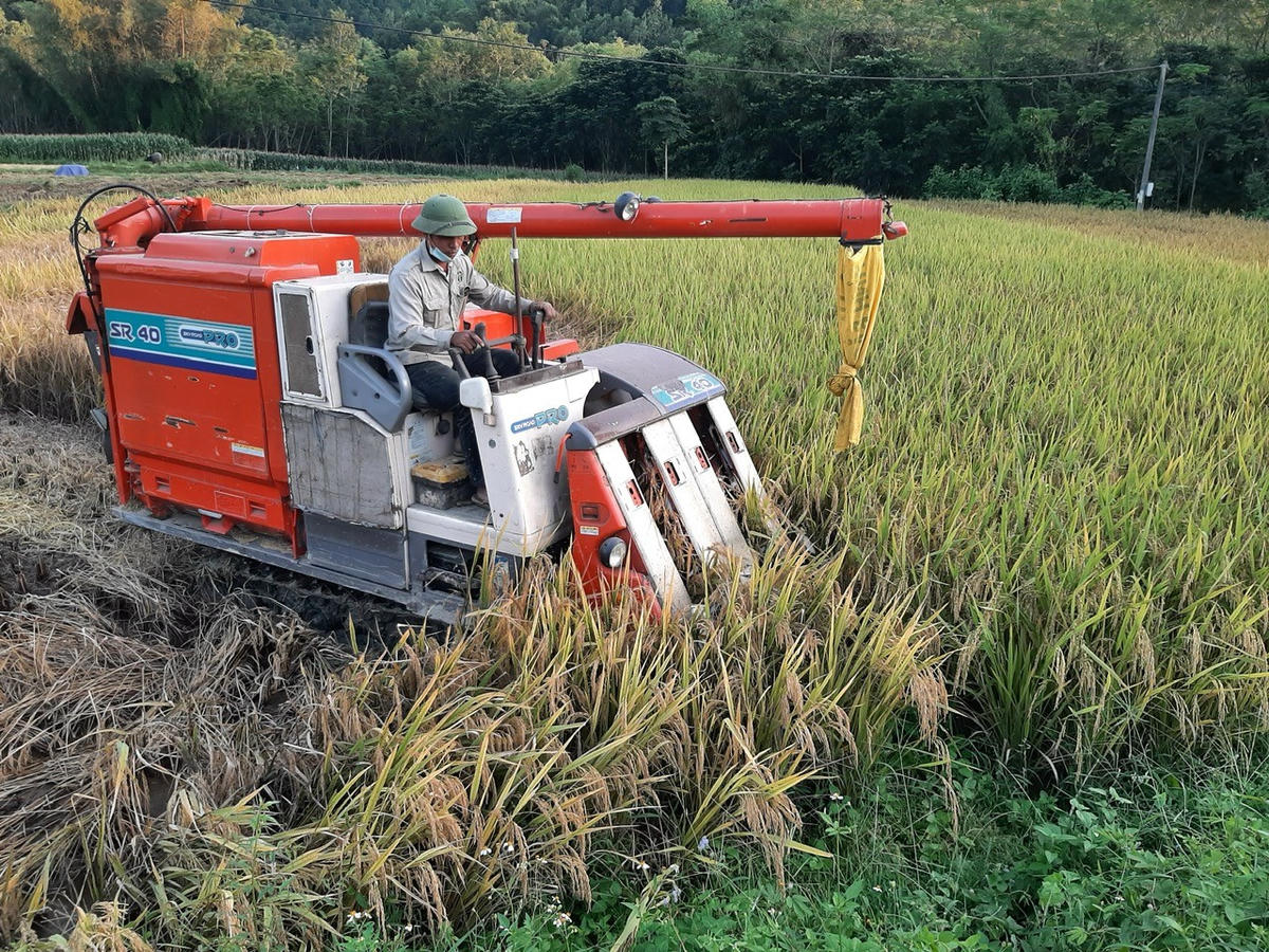 Cơ khí hóa nông nghiệp đem lại nguồn thu lớn hơn cho người dân tỉnh Thái Nguyên trong đó có xã Chợ Đồn.