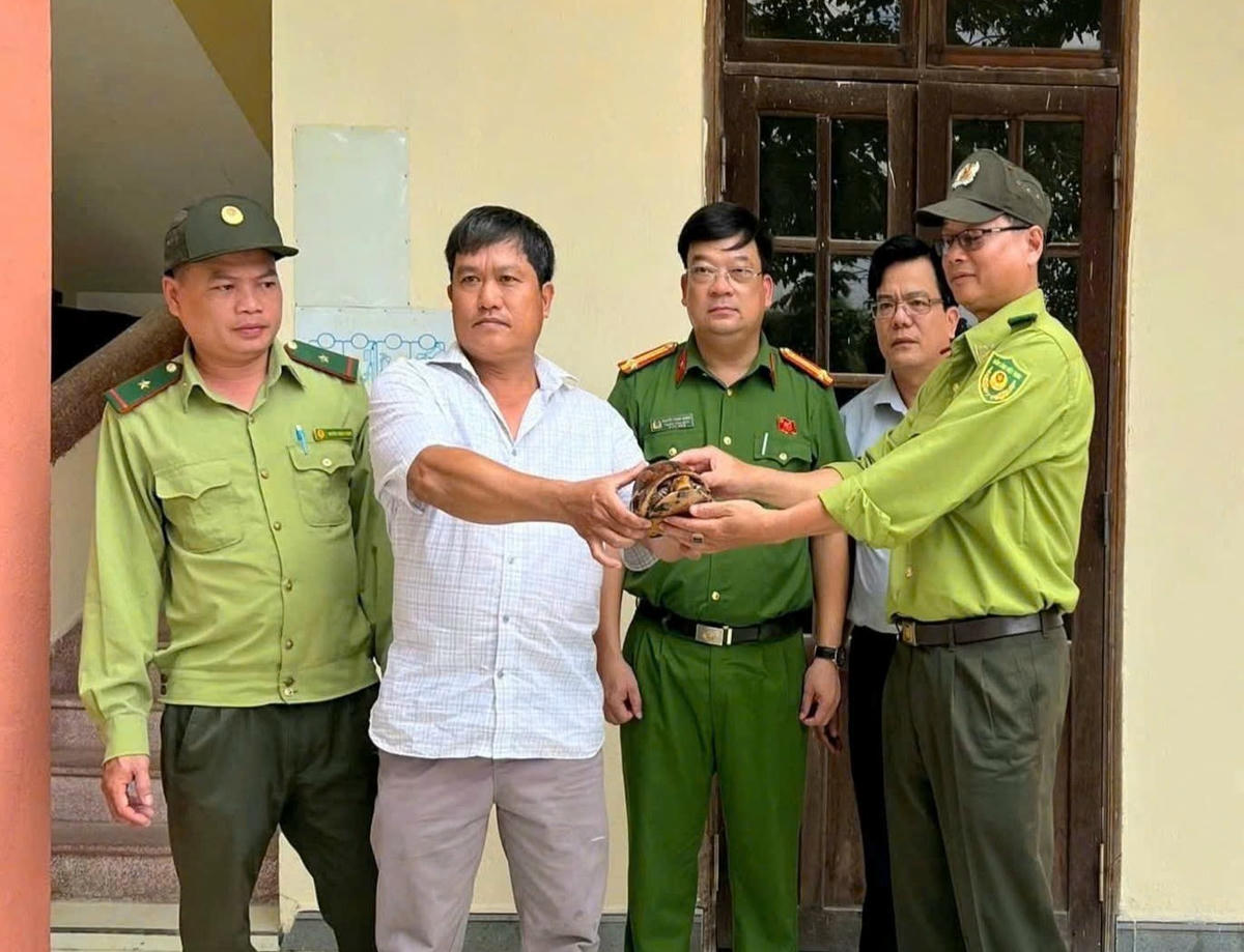 Người dân giao nộp cá thể rùa nghi quý hiếm. Ảnh: CV.