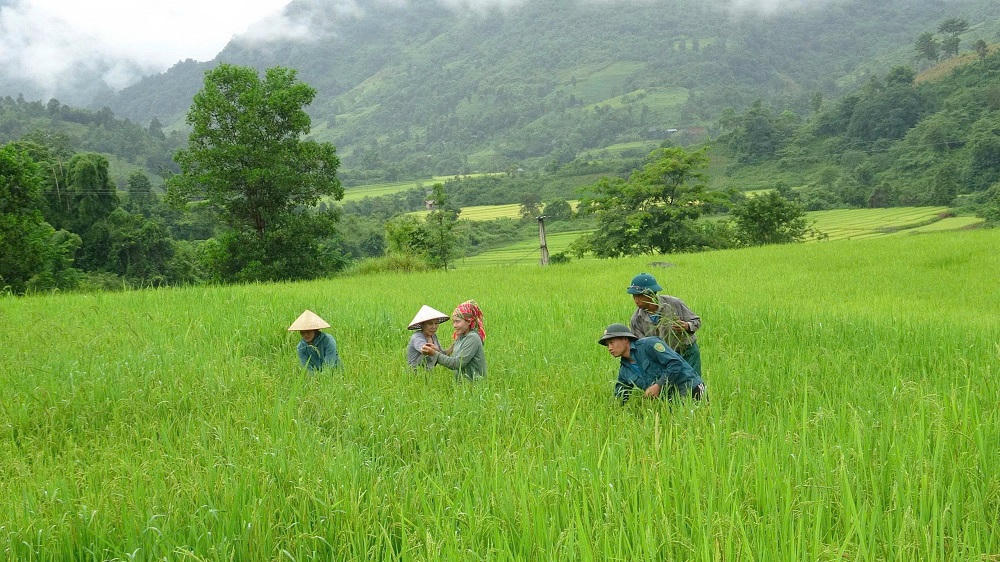 "Người có uy tín" của thôn, bản hướng dẫn người dân chăm sóc, canh tác nông nghiệp. Ảnh: Sở DT&TG
