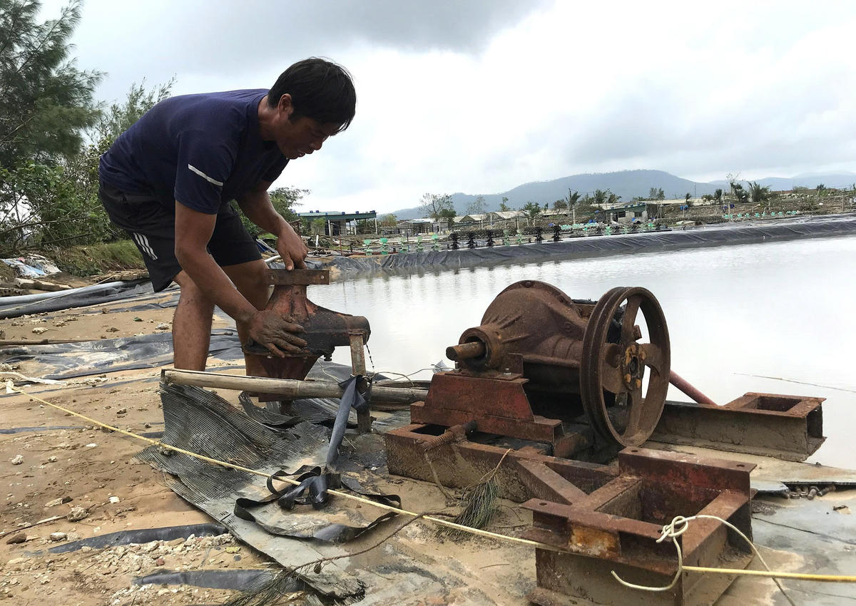 Những ngày này, trên cánh đồng nuôi tôm xã An Châu (Nghệ An), người dân đang khẩn trương gia cố lại bờ bao, nạo vét kênh mương, khôi phục hệ thống điện, nước sau thiên tai. Ảnh: ĐB.