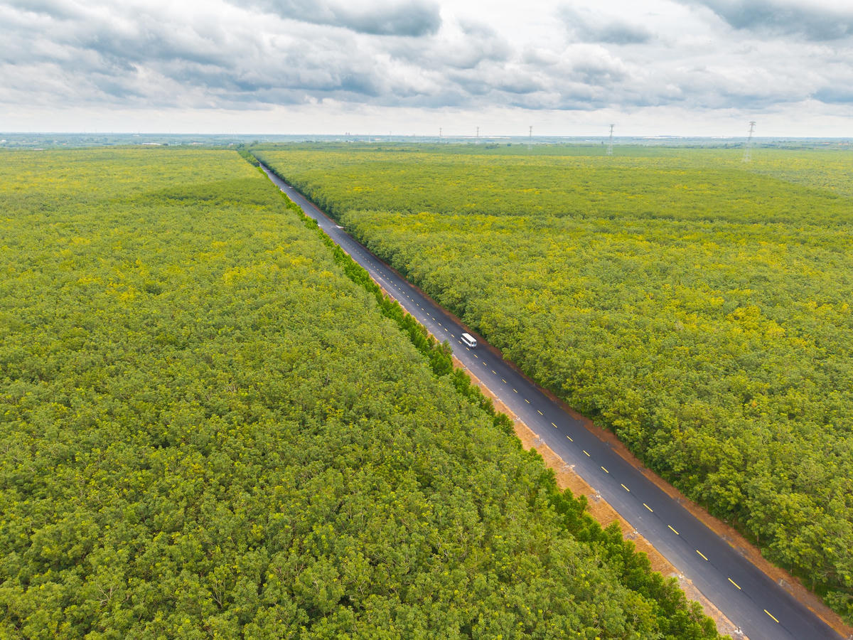 Cao tốc phía Nam chạy nước rút