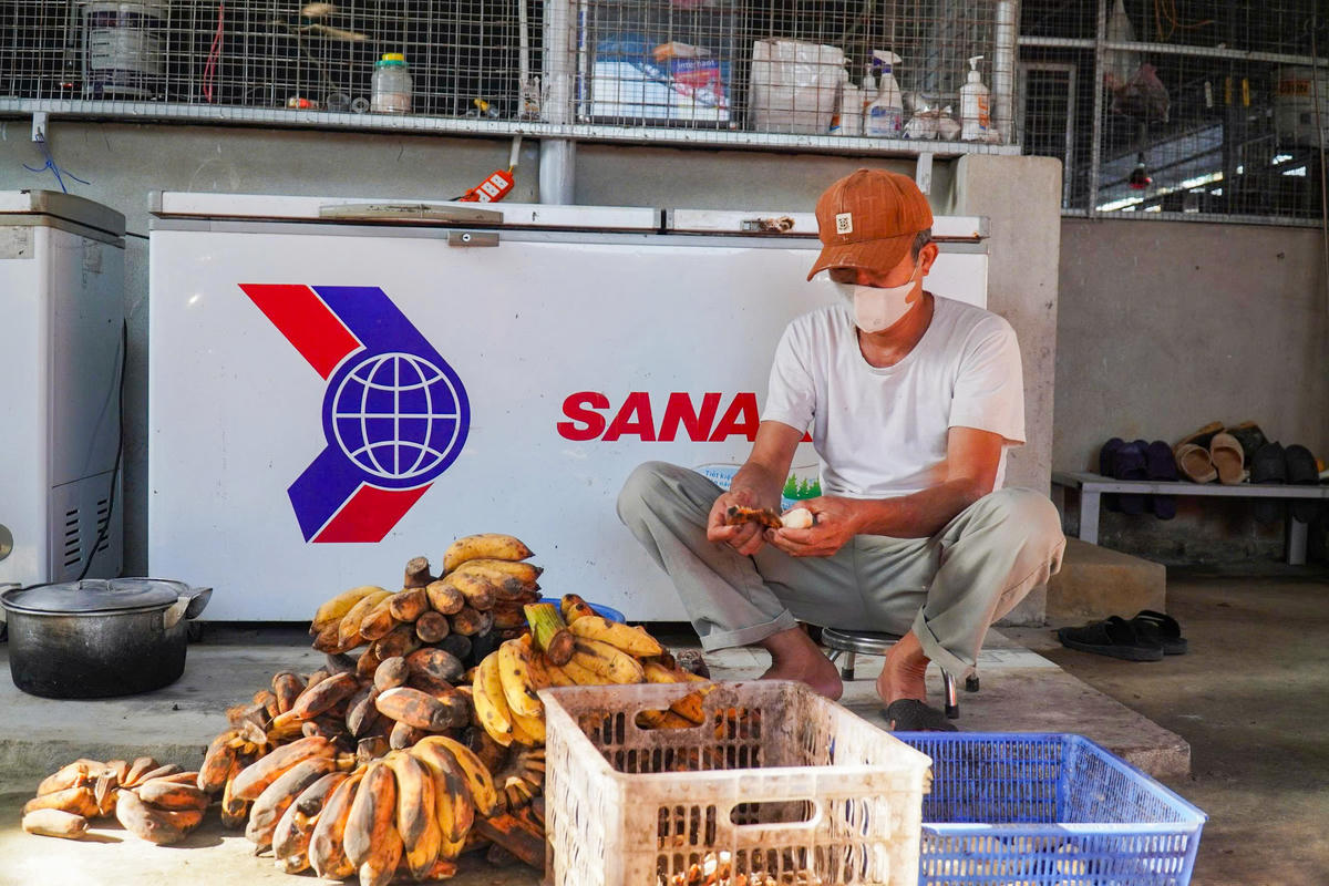 Nguồn thức ăn của cầy hương khá rẻ và dễ tìm. Ảnh: Đình Minh