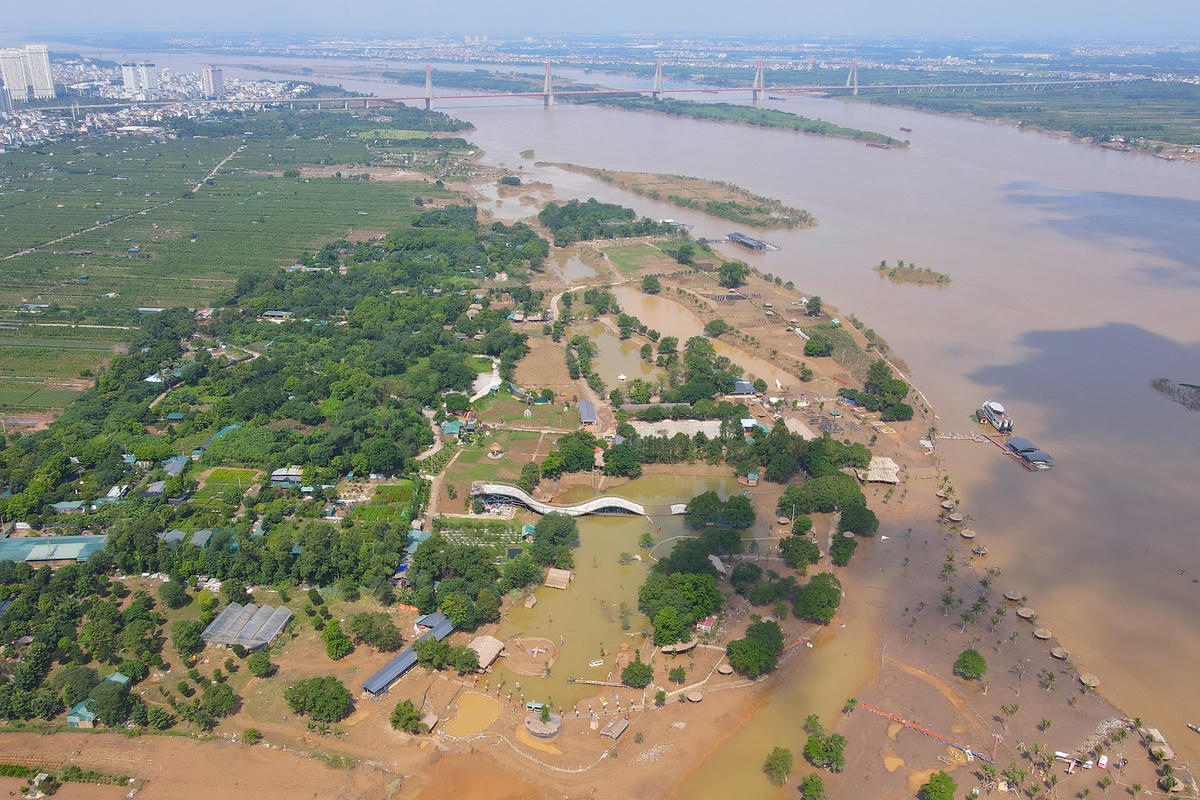 Theo ghi nhận của PV Báo Đại đoàn kết, do ảnh hưởng hoàn lưu của cơn bão số 10 và 11, nước trên sông Hồng dâng cao, khiến khu du lịch bãi đá và các hộ kinh doanh xung quanh phải chịu cảnh ngập nặng suốt nhiều ngày.