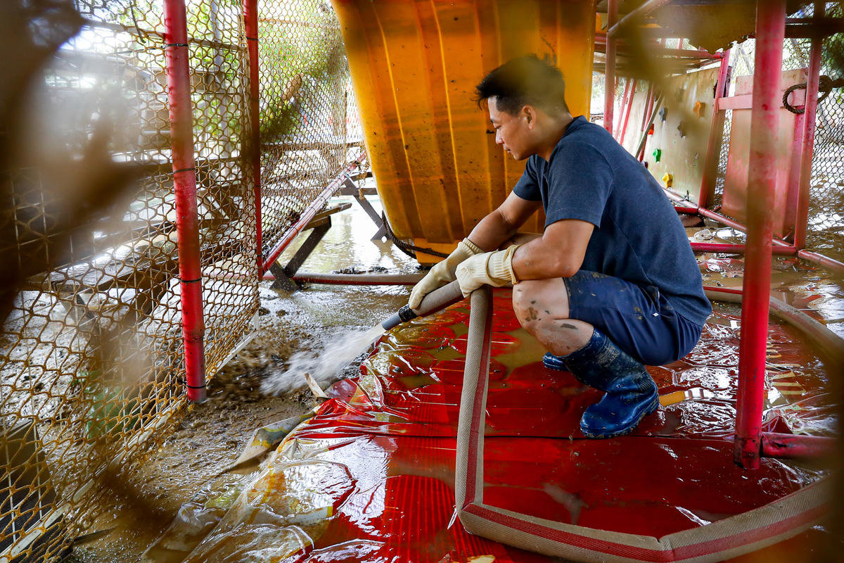 Anh Nguyễn Đức Hùng, chủ một cửa hàng kinh doanh đồ uống tại bãi đá sông Hồng chia sẻ, do ảnh hưởng bởi bão số 10 và 11 nước sông Hồng dâng cao gần ngập nóc nhà, cửa hàng liên tục bị ngập nặng, bàn ghế, tủ lạnh, đồ đạc bị hư hỏng nặng.