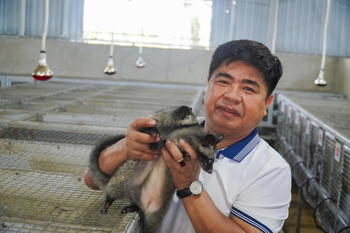 Không nản lòng trước thất bại, anh Hùng đã đi nhiều nơi, đến nhiều trang trại để học cách nuôi cầy hương sao cho đúng Ảnh: Đình Minh