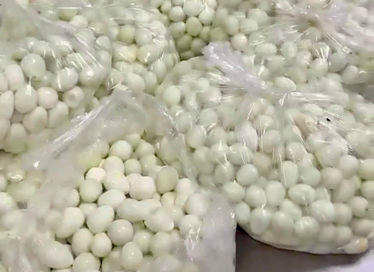 Trứng cút đựng trong túi ni lông có mùi ôi đưa đến Trường tiểu học Cự Khê được phụ huynh phát hiện.