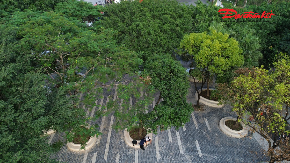 Nhiều cây xanh được trồng tại công viên.